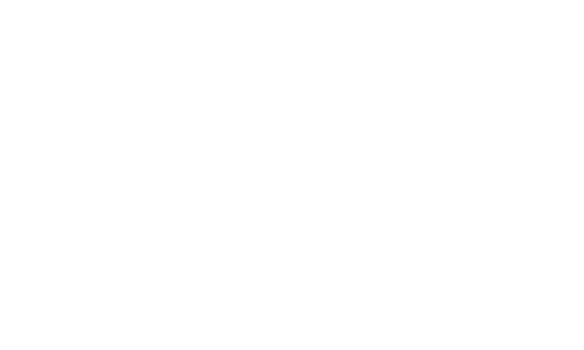 Vinhomes Wonder City Logo Light