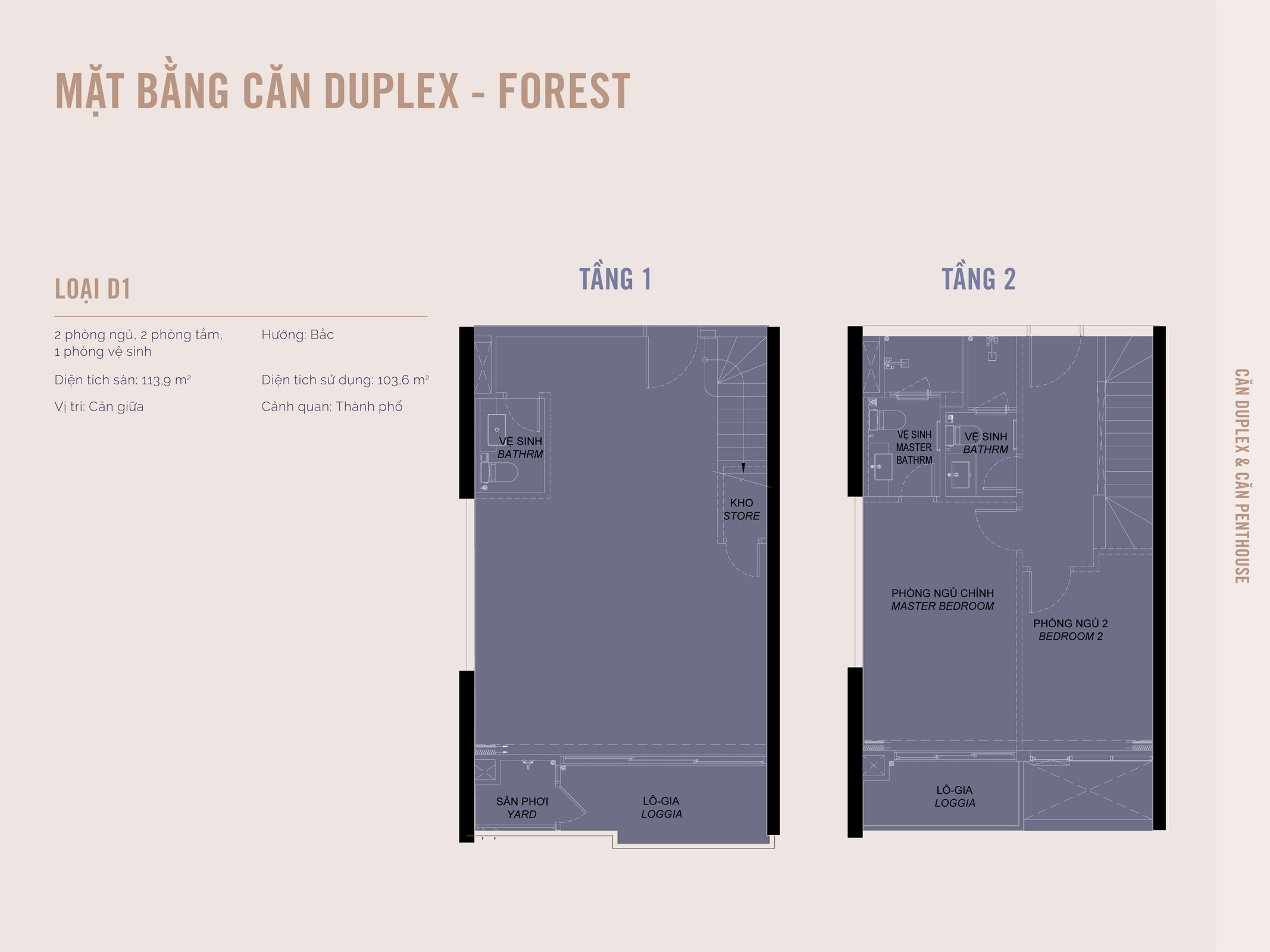 Layout Dupex A2